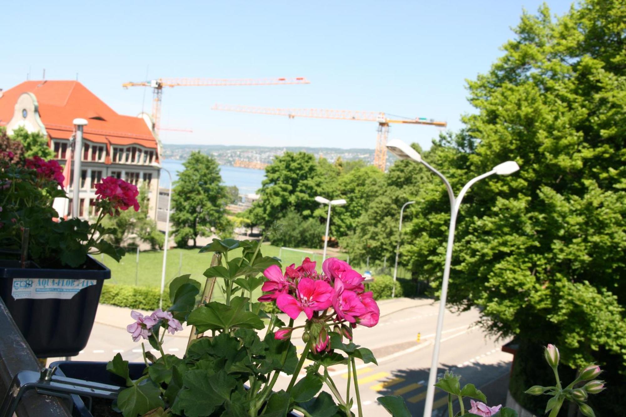 Hotel Glärnisch Hof Horgen Exteriör bild