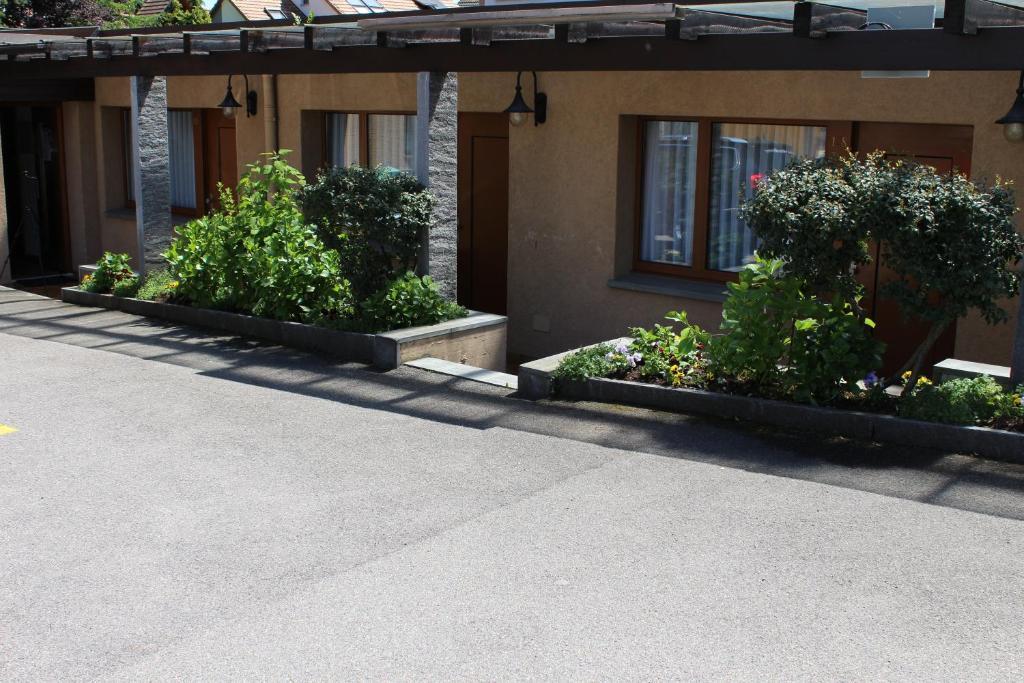 Hotel Glärnisch Hof Horgen Rum bild